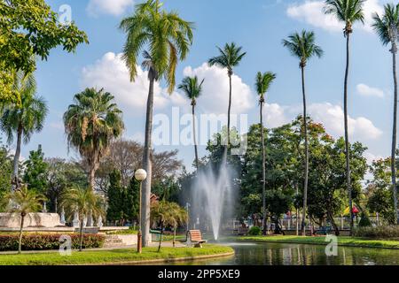 Photos taken during December 2021 in Chiang Mai, Thailand Stock Photo