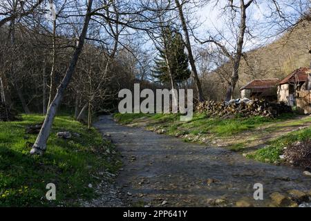 A small stream flows through the old village in the forest on a sunny spring day. The river is shallow and can be crossed in boots Stock Photo