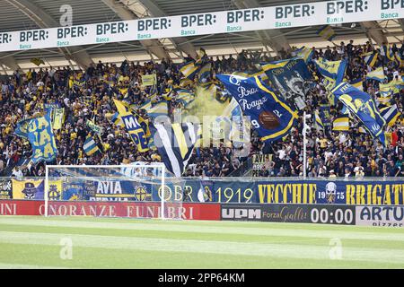 Artur Ionita (Modena) during Modena FC vs SPAL, Italian soccer