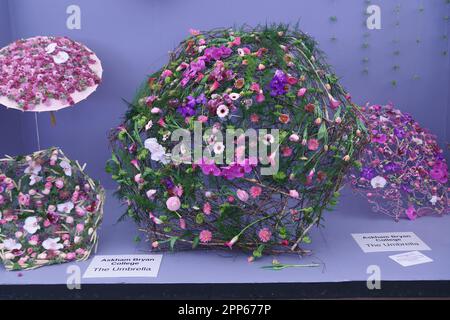 Askham bryan college hi-res stock photography and images - Alamy
