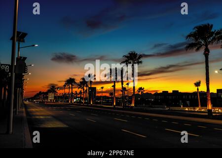Night view of the road with palm trees in Sharm el Sheikh in Egypt. Stock Photo