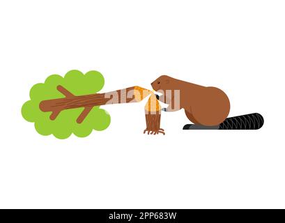 Beaver and tree. Swamp rodent and dam Stock Vector