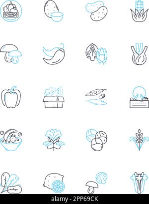 Daily routine line icons, signs set. Wake, Eat, Work, Study, Exercise ...