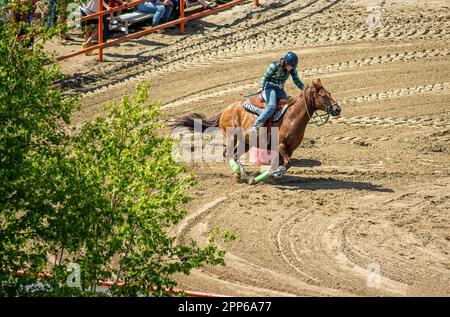 Teenage girl competing in an equine barrel competition in the summer Stock Photo