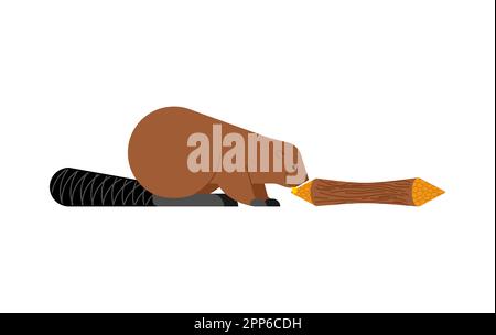 Beaver and tree. Swamp rodent and dam Stock Vector