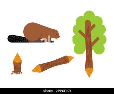 Beaver and tree. Swamp rodent and dam Stock Vector