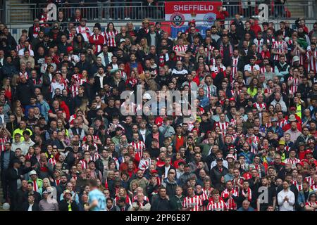 London, UK. 22nd Apr, 2023. Sheffield Utd fans during the The FA Cup match at Wembley Stadium, London. Picture credit should read: Paul Thomas/Sportimage Credit: Sportimage Ltd/Alamy Live News Stock Photo