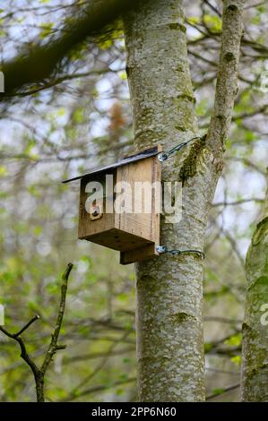 Tree Box Council Wooden nest boxes on trees in a council run nature reserve to encourage ...
