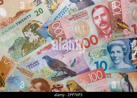 New Zealand money, all banknotes, New Zealand dollars, close up, financial background Stock Photo