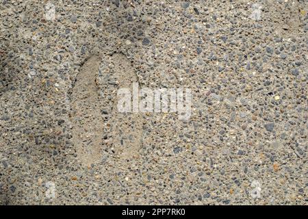 Abstract background. Monochrome texture. Image includes a effect the black and white tones. High quality photo Stock Photo
