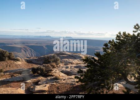 Overlooking Monument Valley in the distance from Muley Point, near Mexican Hat, Utah, USA Stock Photo