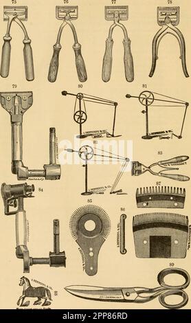 'Illustrated alphabetical register of veterinary instruments, anatomical models, books, &c.' (1881) Stock Photo