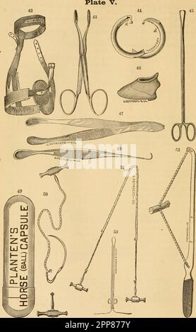 Veterinary Instruments Labelled