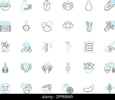 Clean workout linear icons set. Hygiene, Disinfect, Freshness, Sanitize ...