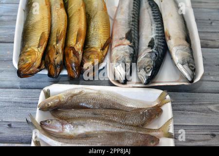 Various types of Raw Fishes of Mackerel fish, Saurida undosquamis, the brushtooth lizardfish, large-scale grinner or largescale saury and Smoked salty Stock Photo