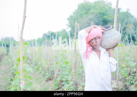 Indian farmer holding tomato in hands, happy farmer Stock Photo