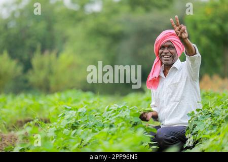 Indian farmer holding tomato in hands, happy farmer Stock Photo