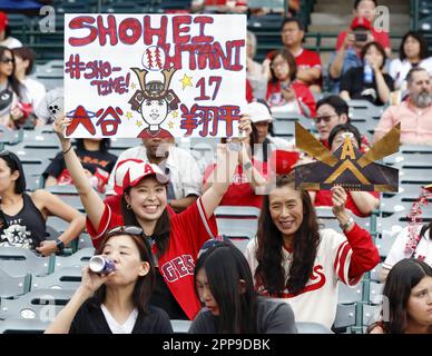 Los Angeles Angels fans cheer before Game 3 of the American League  Championship baseball series against the New York Yankees Monday, Oct. 19,  2009, in Anaheim, Calif. (AP Photo/Jae C. Hong Stock