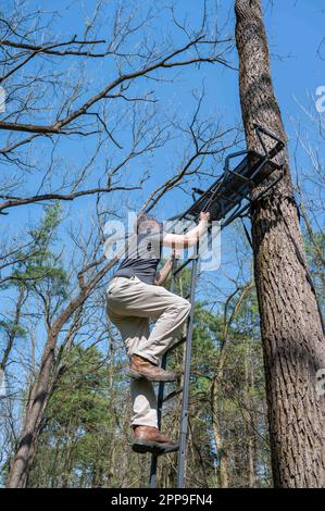 Fit active senior man climbs ladder to hunting tree stand Stock Photo