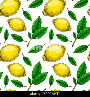 Lemon seamless pattern. Colorful hand drawn vector illustration in sketch style. Tropical exotic citrus fruit summer background Stock Vector