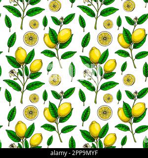Lemon seamless pattern. Colorful hand drawn vector illustration in sketch style. Tropical exotic citrus fruit summer background Stock Vector