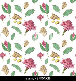 Digitally drawn ginger flowers and roots vector set, elements combined in compositions. Stock Vector
