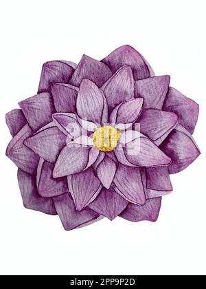 Watercolor vector dahlia flowers set decorations. Elements with flowers and leaves combined in beautiful wedding or birthday decor. Stock Vector