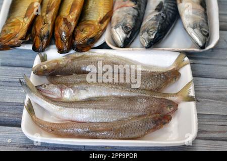Various types of Raw Fishes of Mackerel fish, Saurida undosquamis, the brushtooth lizardfish, large-scale grinner or largescale saury and Smoked salty Stock Photo