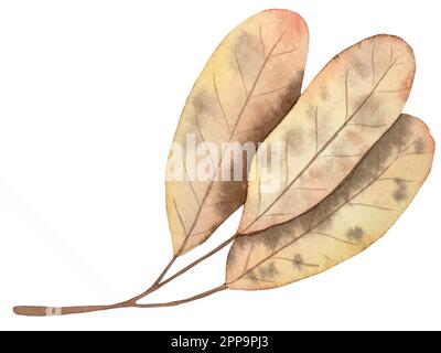 Watercolor vector autumn set. Decorations with forest leaves and mushrooms. Stock Vector