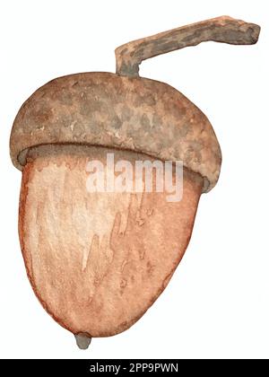 Watercolor vector autumn set. Decorations with forest leaves and mushrooms. Stock Vector
