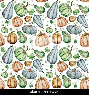 Watercolor vector pumpkins set of illustrations. Decoration with pumpkins watercolor illustration. Thanksgiving. Halloween. Stock Vector