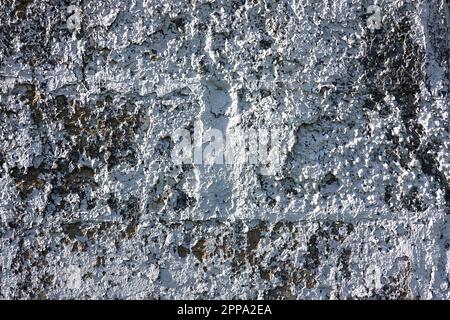Old scabrous uneven wall painted surface as background front view close up Stock Photo