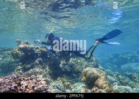Indonesia Anambas Islands - Man snorkeling in coral reef Stock Photo