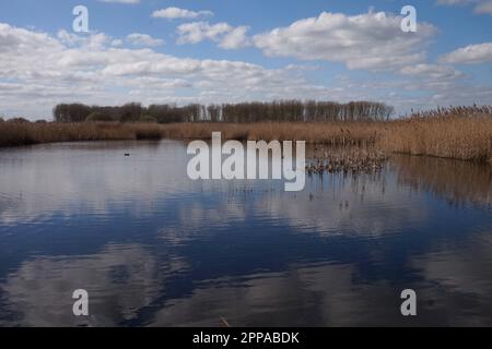 Lakenheath Fen, Suffolk, England Stock Photo