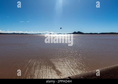 Reflections on the Gariep Dam in the Orange River. A bird is visible Stock Photo