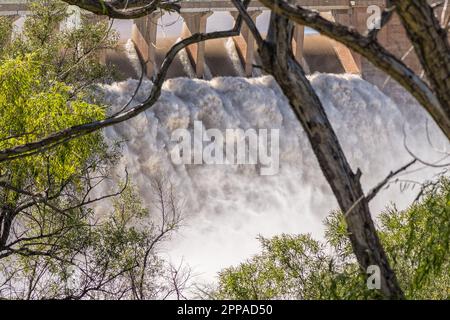 The overflowing Gariep Dam is visible between branches of a tree. The dam is the largest in South Africa Stock Photo