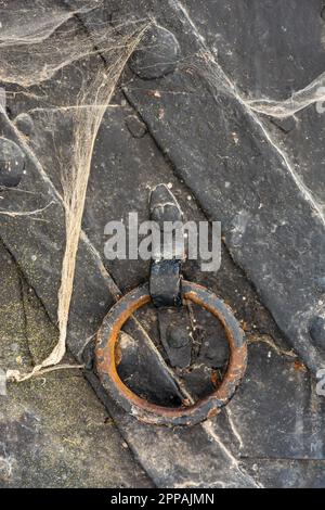 Handle on a medieval cobwebbed iron door Stock Photo
