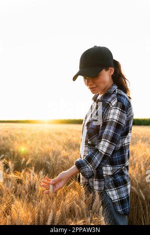 Woman farmer touches the ears of wheat on an agricultural field.. High quality photo Stock Photo