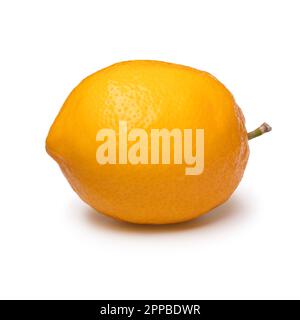 Whole single fresh Meyer lemon close up isolated on white background Stock Photo