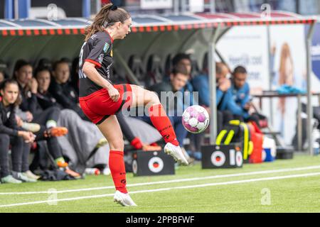 Tabiatdagi jinsiy aloqa va qiz dostlari