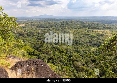 Rock paintings in Cerro Azul in the Chiribiquete National Park, a UNESCO world heritage site and an archeological jewel of Colombia, located in San Jo Stock Photo