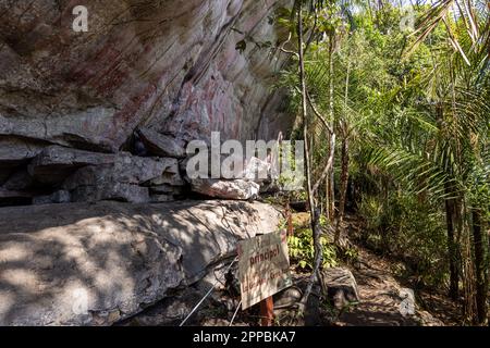 Rock paintings in Cerro Azul in the Chiribiquete National Park, a UNESCO world heritage site and an archeological jewel of Colombia, located in San Jo Stock Photo