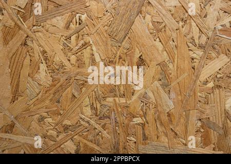 The texture of the wood wall. Stock Photo