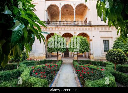 16th-century tiled gardens in the Casa de Pilatos palace with green plants and red flowers. Renaissance architecture style arches. Sevilla, Andalusia, Stock Photo