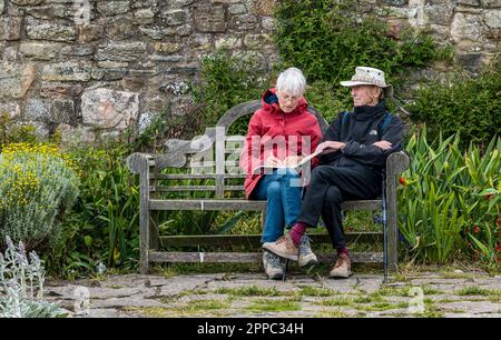 Elderly couple sitting on bench with woman sketching, Gertrude Jekyll's flower garden, Holy Island of Lindisfarne, Northumberland, England, UK Stock Photo