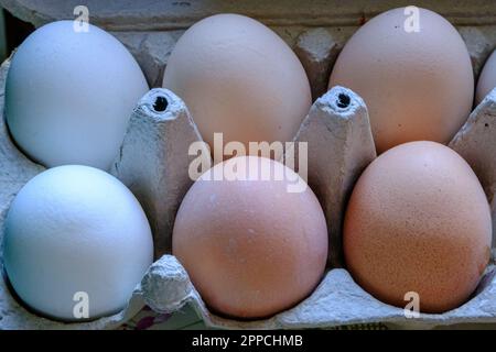 Fresh chicken eggs in a cardboard box. A small farm in the countryside. Multicolored chicken eggs in a cardboard box Stock Photo