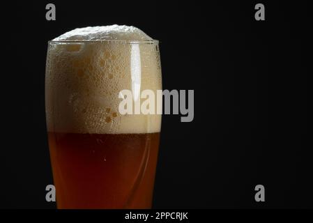 Delicious home brewed beer in a beer glass. Stock Photo