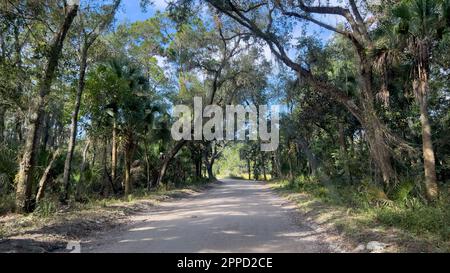 The drive through the forrest in Timucuan Ecological National Park in Jacksonville, Florida. Stock Photo