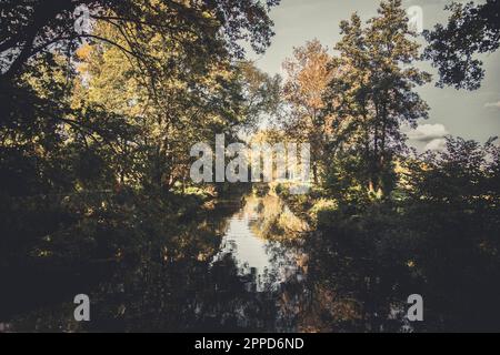 Lake reflecting surrounding trees in early autumn Stock Photo - Alamy