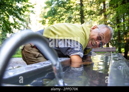 Happy senior man dipping arms in Kneipp basin Stock Photo